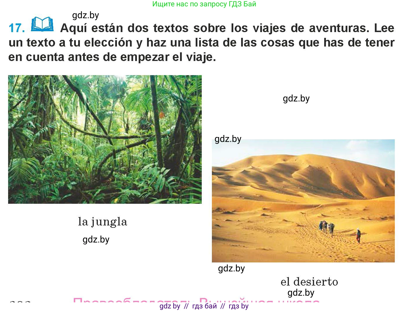 Испанский язык, 9 класс Учебник, авторы: Гриневич Елена Карловна, Янукенас Ольга Викторовна, издательство Вышэйшая школа, Минск, 2020, оранжевого цвета, страница 282, номер 17, Условие