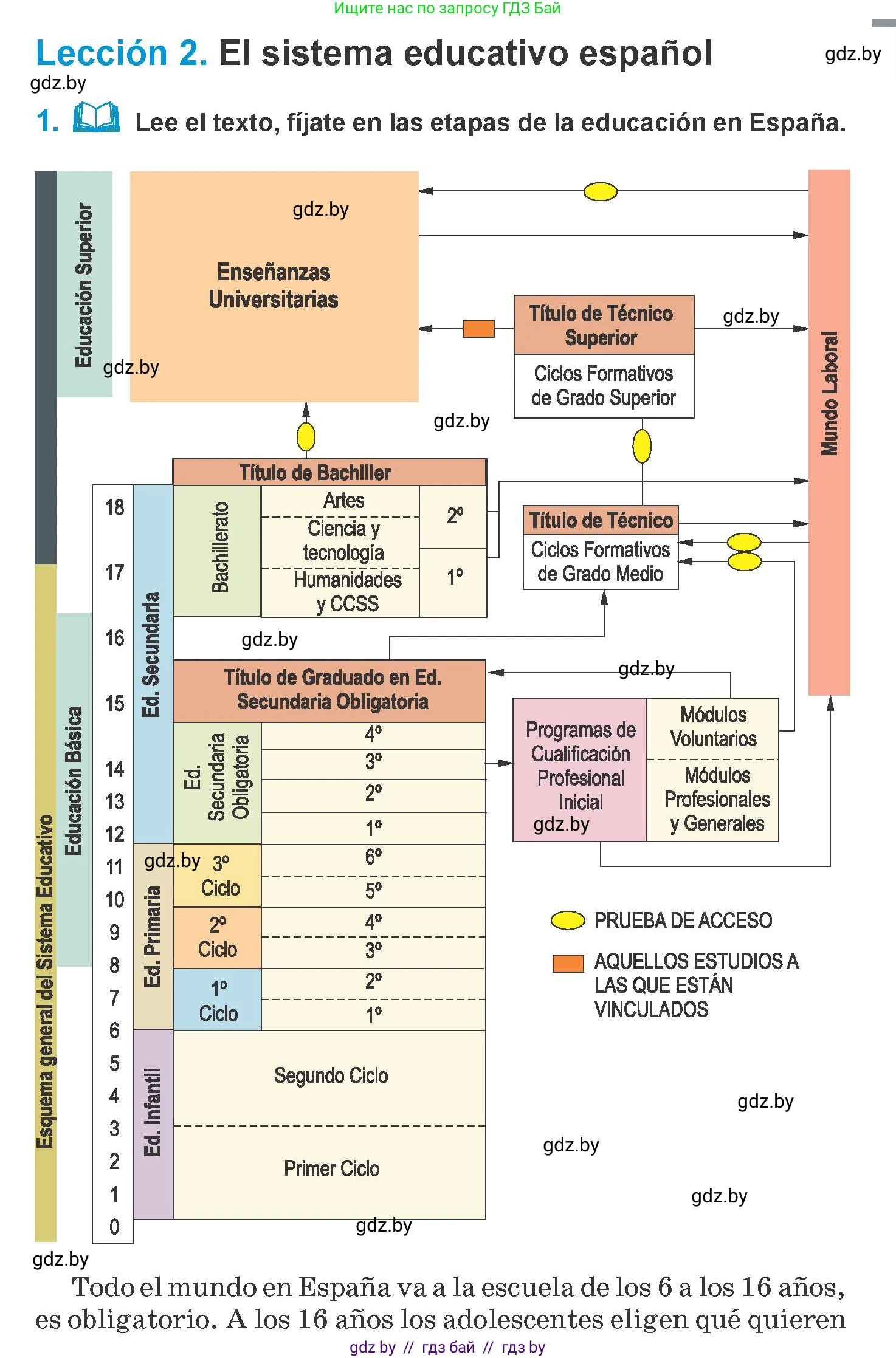Испанский язык, 10 класс Учебник, авторы: Гриневич Елена Карловна, Янукенас Ольга Викторовна, издательство Вышэйшая школа, Минск, 2019, оранжевого цвета, страница 19, номер 1, Условие