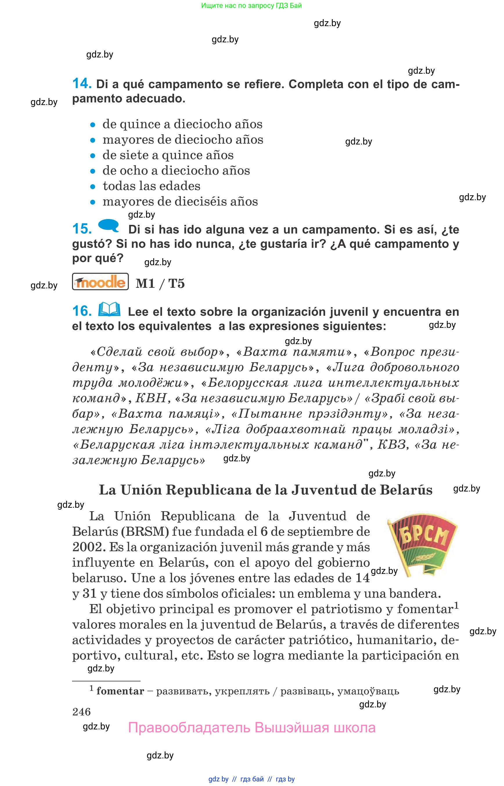 Испанский язык, 10 класс Учебник, авторы: Гриневич Елена Карловна, Янукенас Ольга Викторовна, издательство Вышэйшая школа, Минск, 2019, оранжевого цвета, страница 246