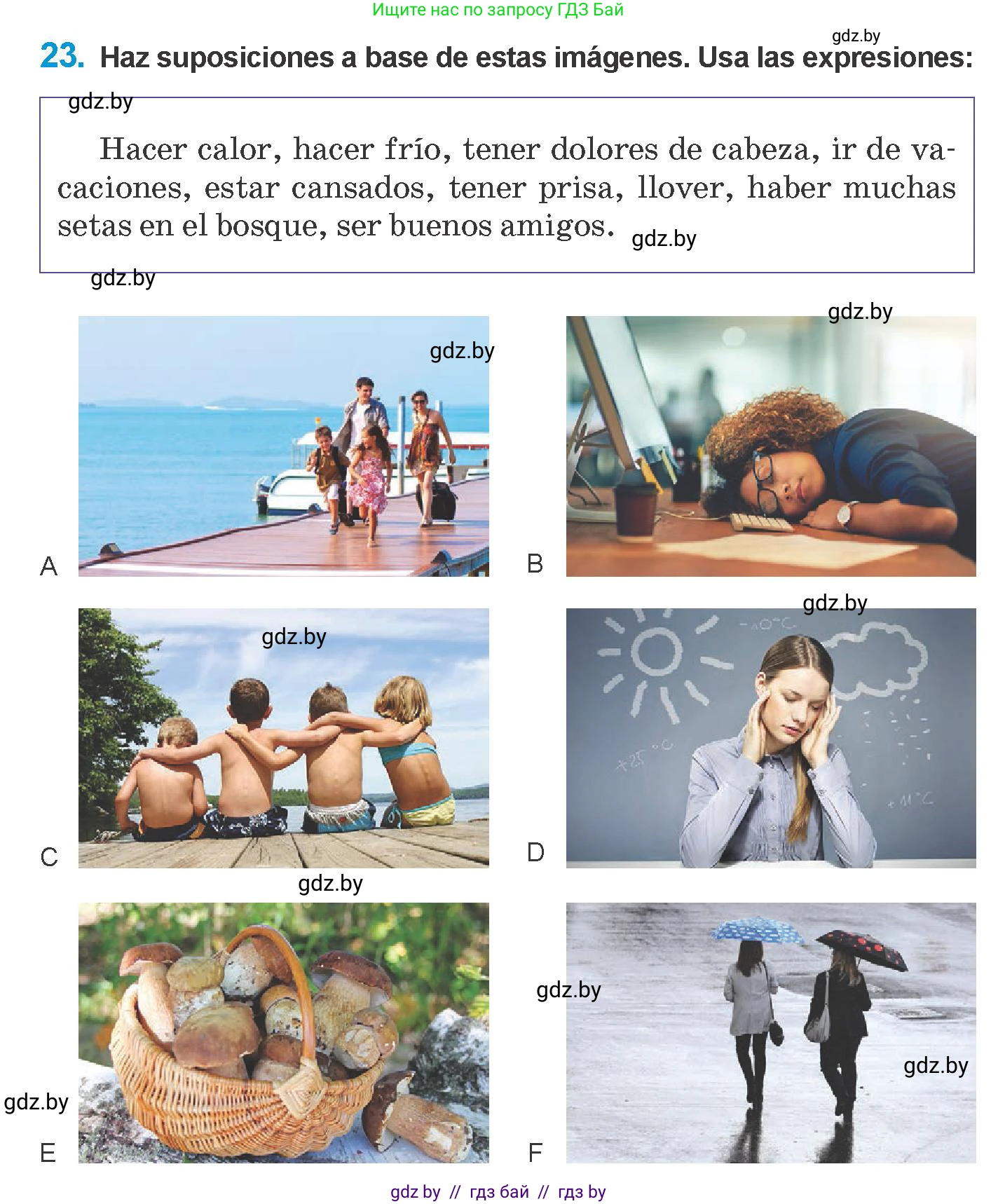 Испанский язык, 10 класс Учебник, авторы: Гриневич Елена Карловна, Янукенас Ольга Викторовна, издательство Вышэйшая школа, Минск, 2019, оранжевого цвета, страница 102, номер 23, Условие