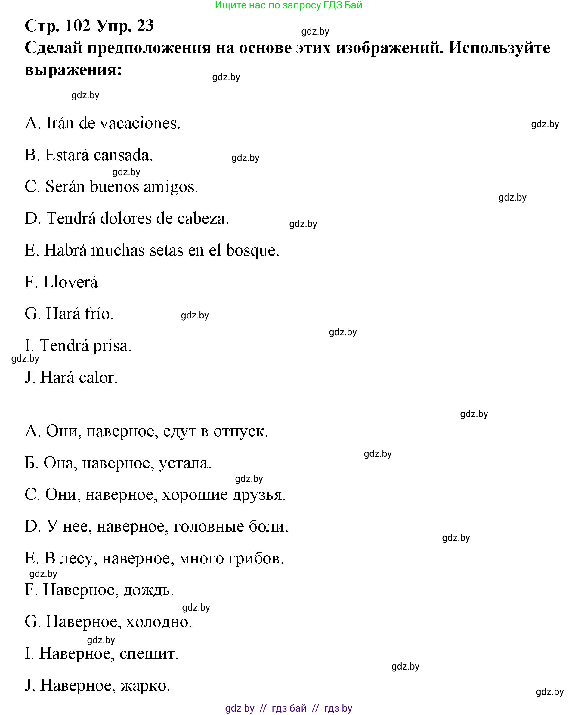 Испанский язык, 10 класс Учебник, авторы: Гриневич Елена Карловна, Янукенас Ольга Викторовна, издательство Вышэйшая школа, Минск, 2019, оранжевого цвета, страница 102, номер 23, Решение
