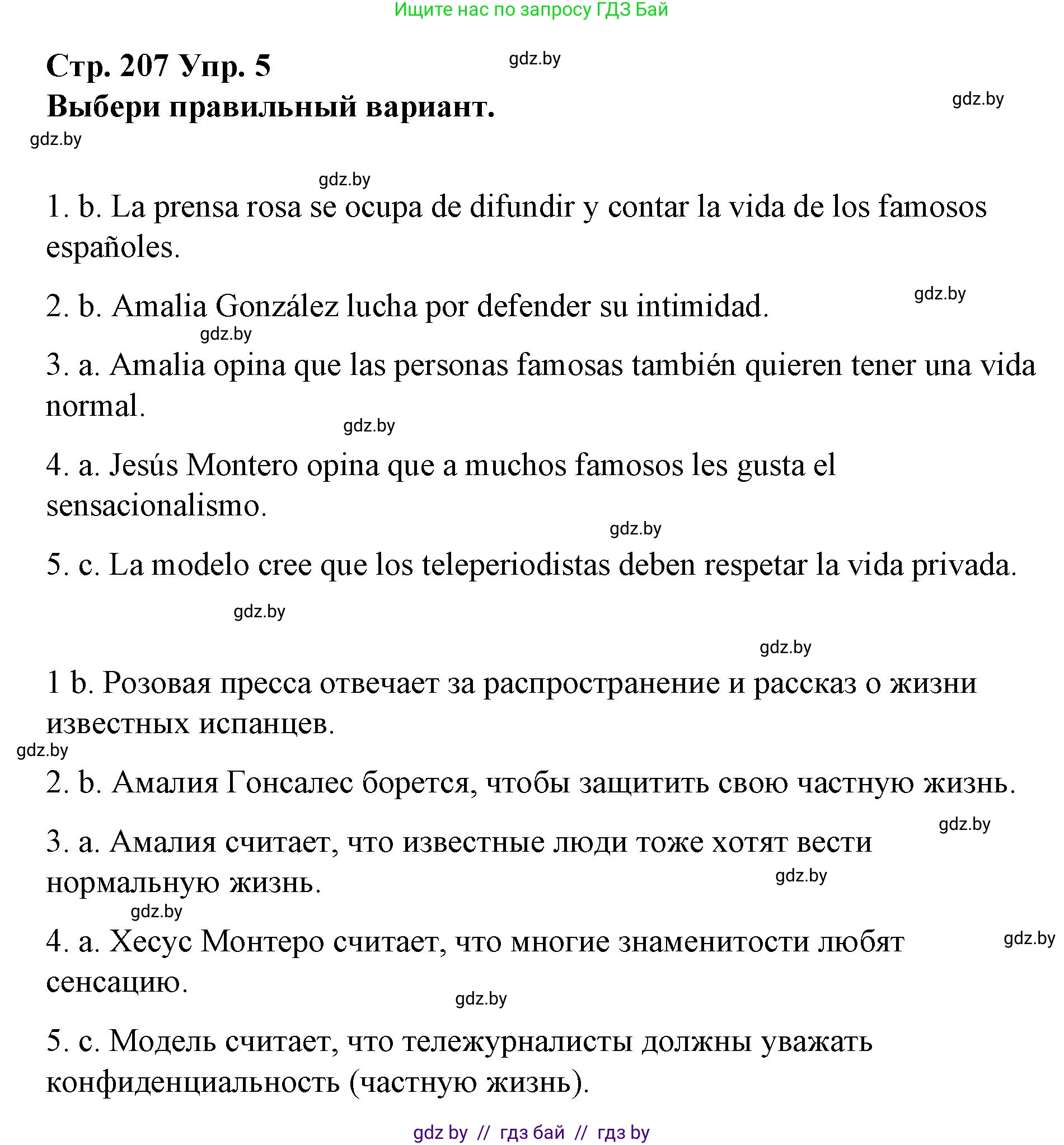 Испанский язык, 10 класс Учебник, авторы: Гриневич Елена Карловна, Янукенас Ольга Викторовна, издательство Вышэйшая школа, Минск, 2019, оранжевого цвета, страница 207, номер 5, Решение