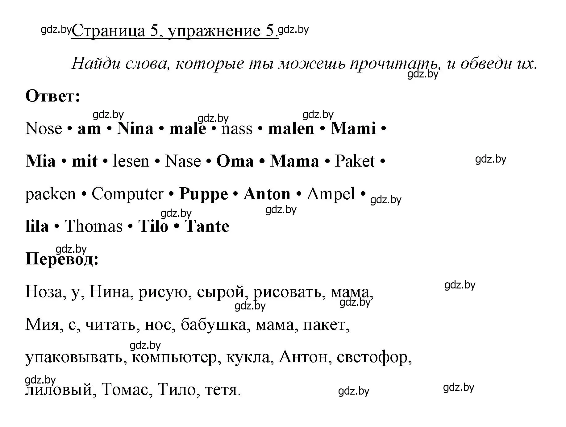 Решение номер 5 (страница 5) гдз по немецкому языку 3 класс Будько, Урбанович, рабочая тетрадь