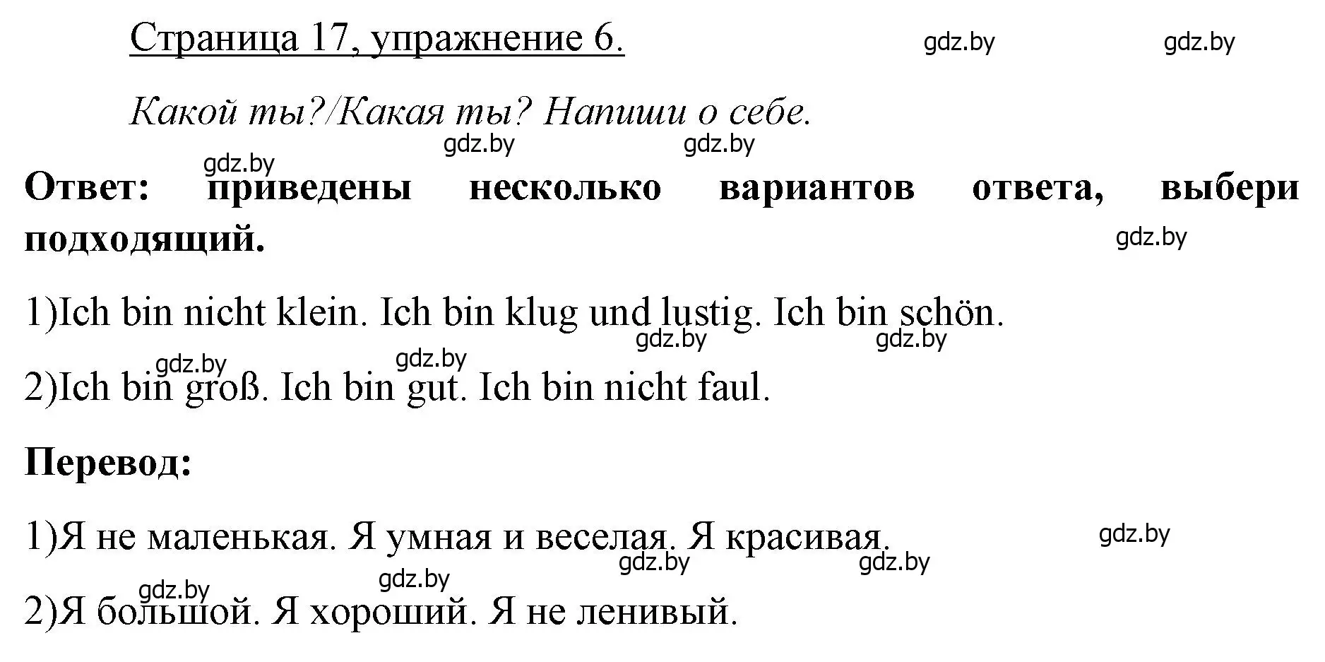 Решение номер 6 (страница 17) гдз по немецкому языку 3 класс Будько, Урбанович, рабочая тетрадь