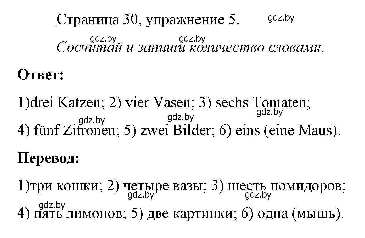 Решение номер 5 (страница 30) гдз по немецкому языку 3 класс Будько, Урбанович, рабочая тетрадь