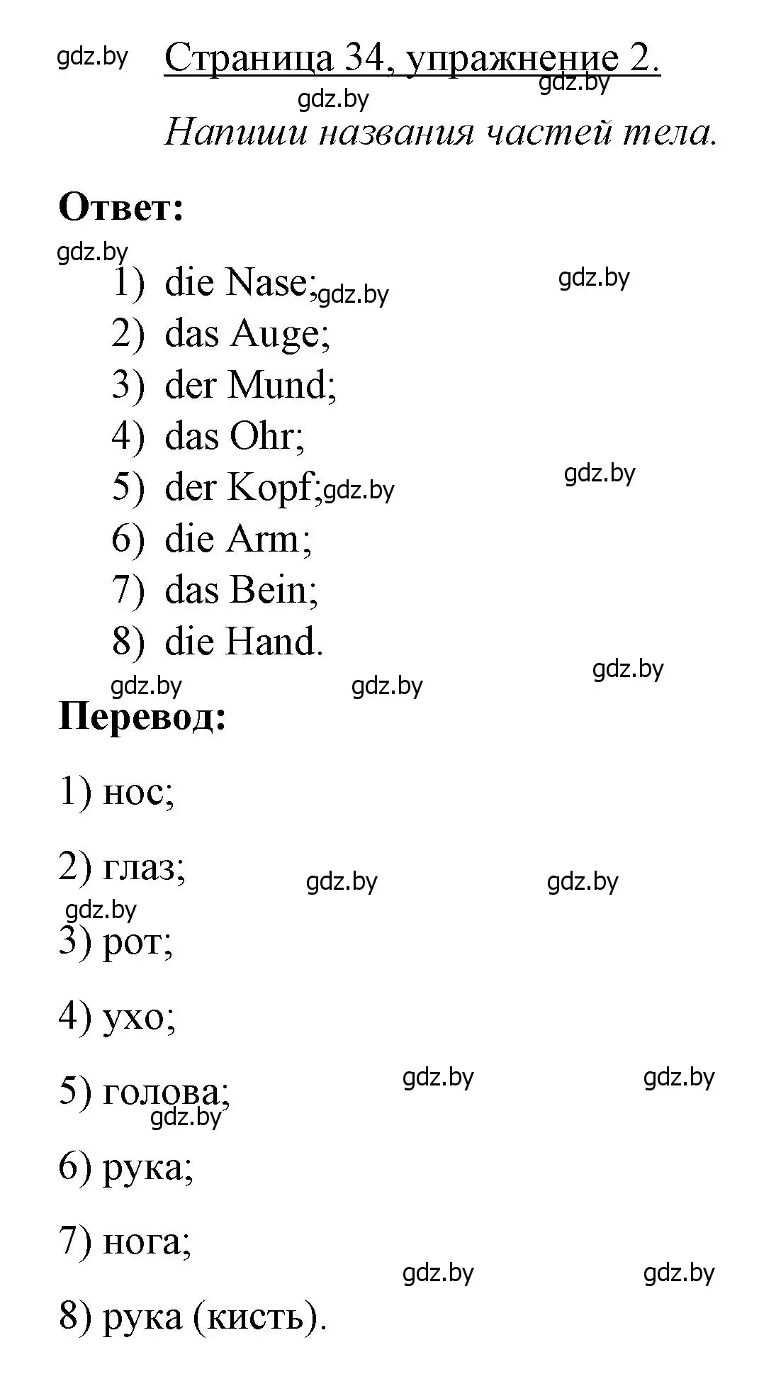 Решение номер 2 (страница 34) гдз по немецкому языку 3 класс Будько, Урбанович, рабочая тетрадь