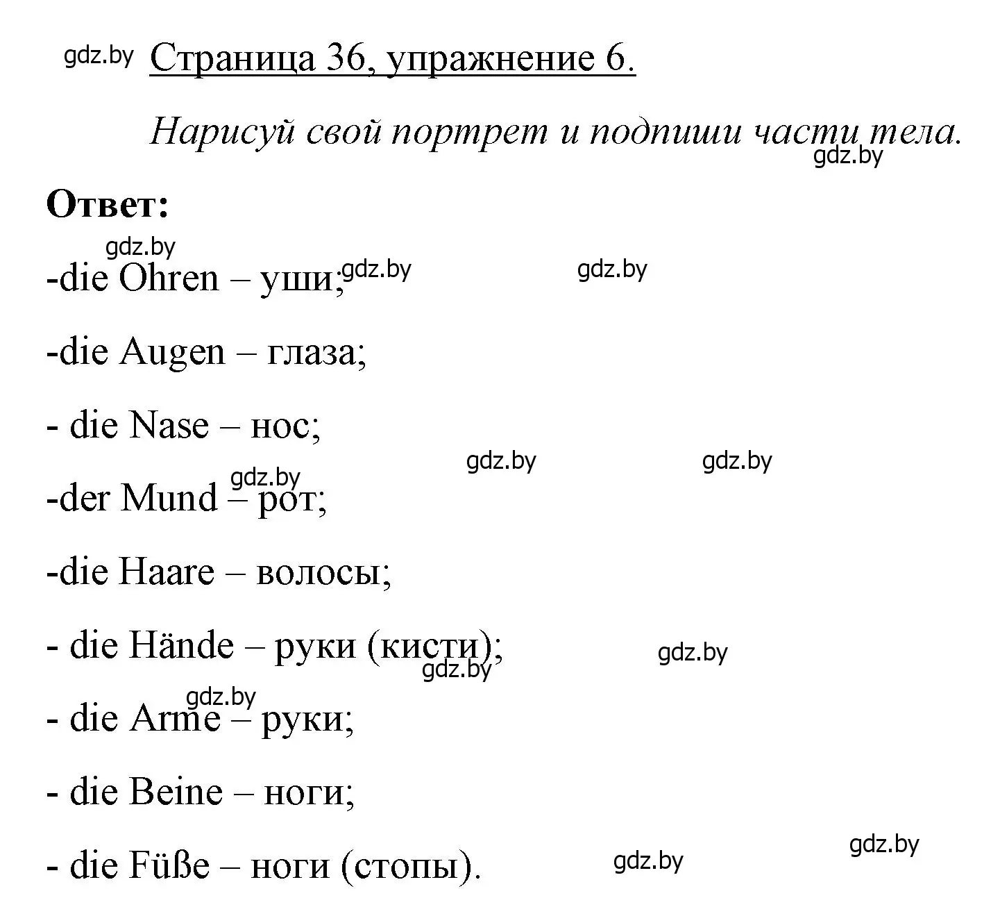 Решение номер 6 (страница 36) гдз по немецкому языку 3 класс Будько, Урбанович, рабочая тетрадь