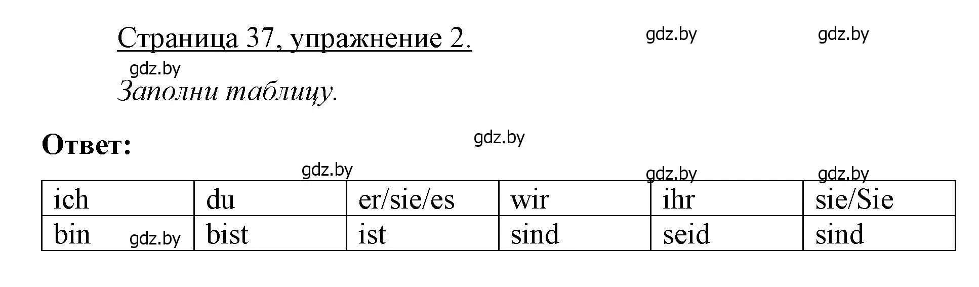 Решение номер 2 (страница 37) гдз по немецкому языку 3 класс Будько, Урбанович, рабочая тетрадь