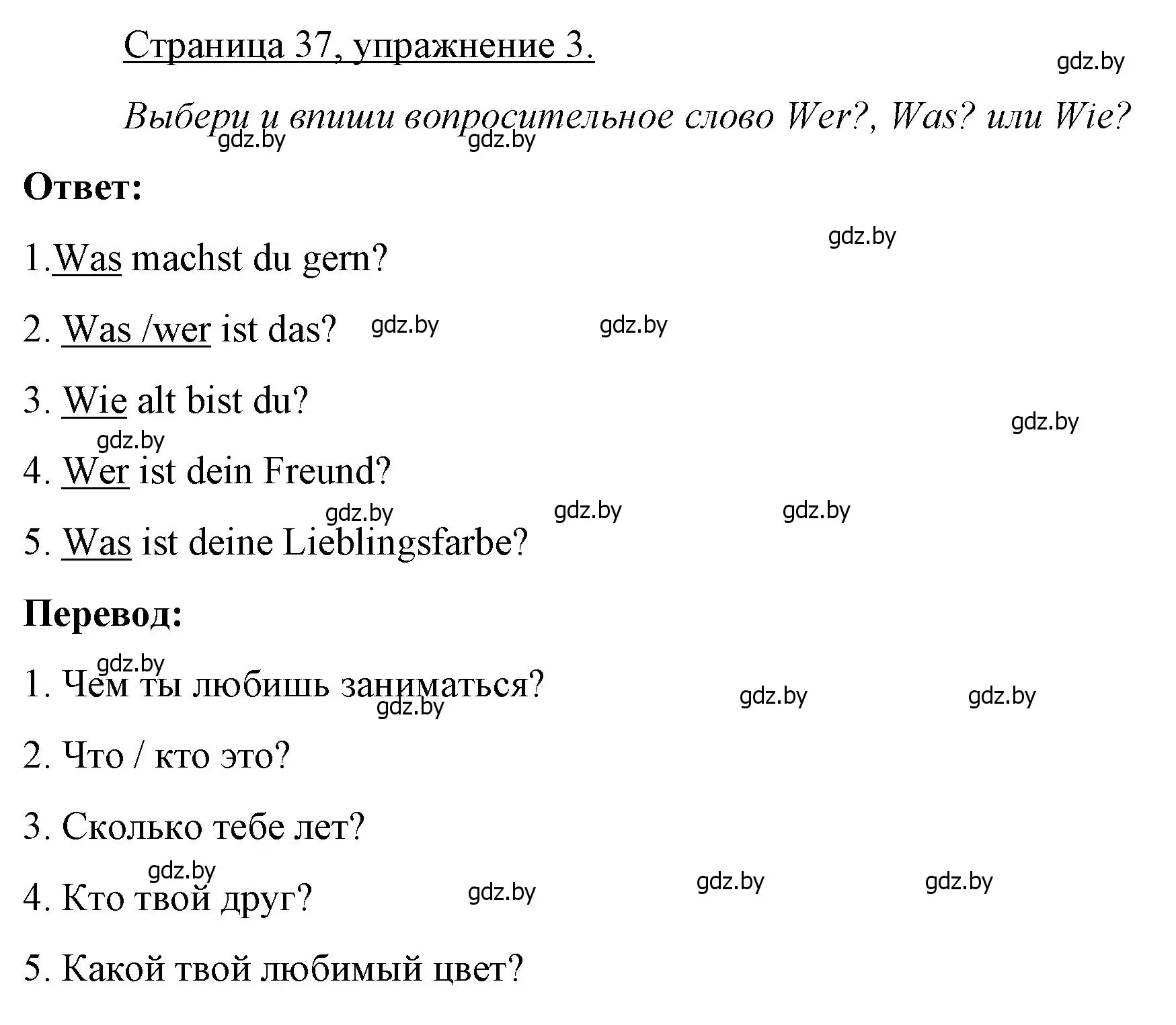 Решение номер 3 (страница 37) гдз по немецкому языку 3 класс Будько, Урбанович, рабочая тетрадь