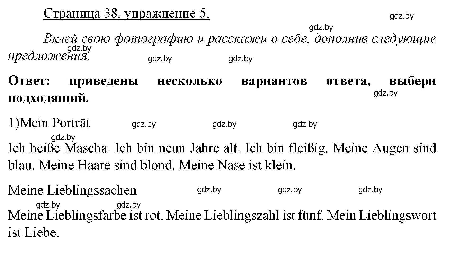 Решение номер 5 (страница 38) гдз по немецкому языку 3 класс Будько, Урбанович, рабочая тетрадь