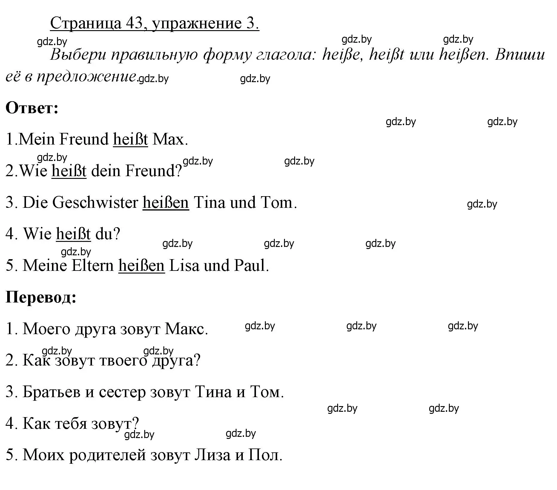 Решение номер 3 (страница 43) гдз по немецкому языку 3 класс Будько, Урбанович, рабочая тетрадь