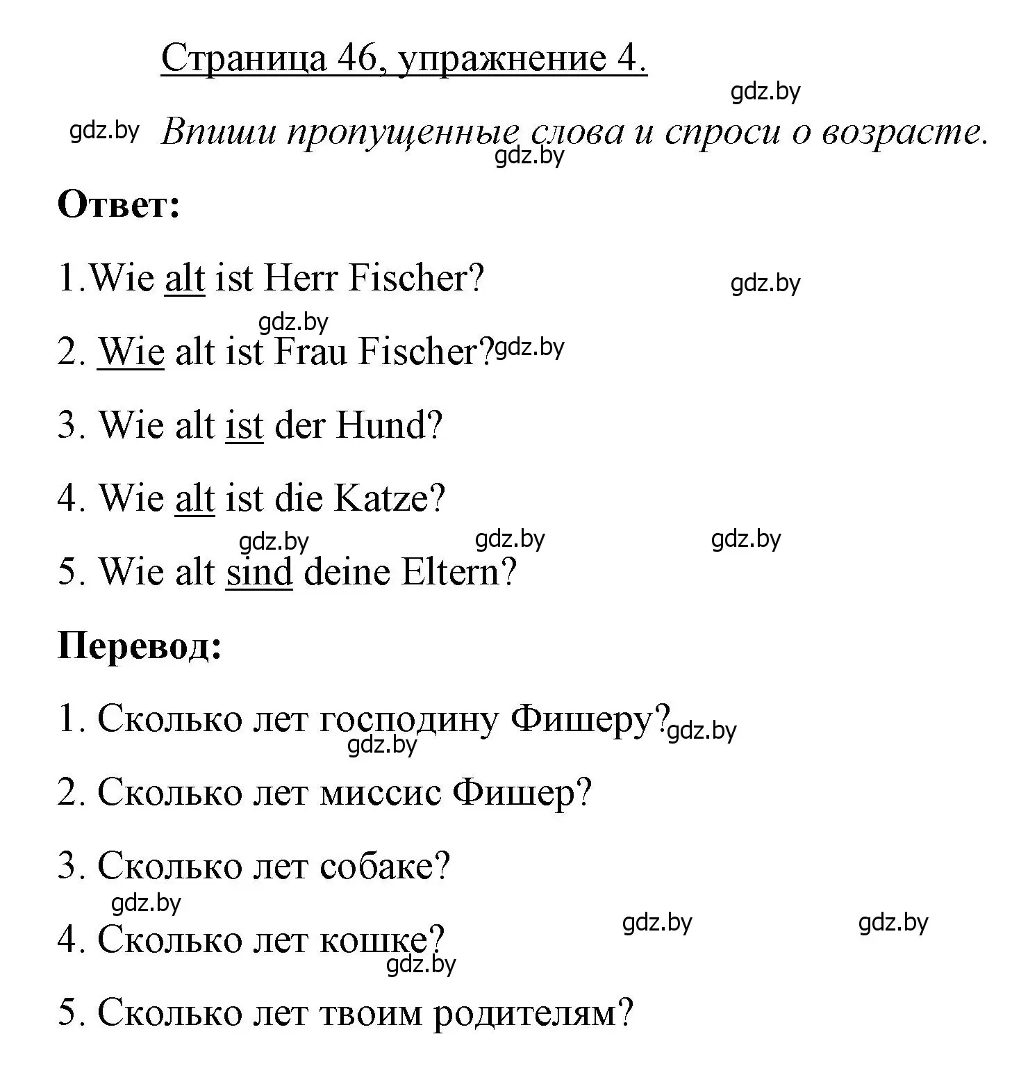 Решение номер 4 (страница 46) гдз по немецкому языку 3 класс Будько, Урбанович, рабочая тетрадь