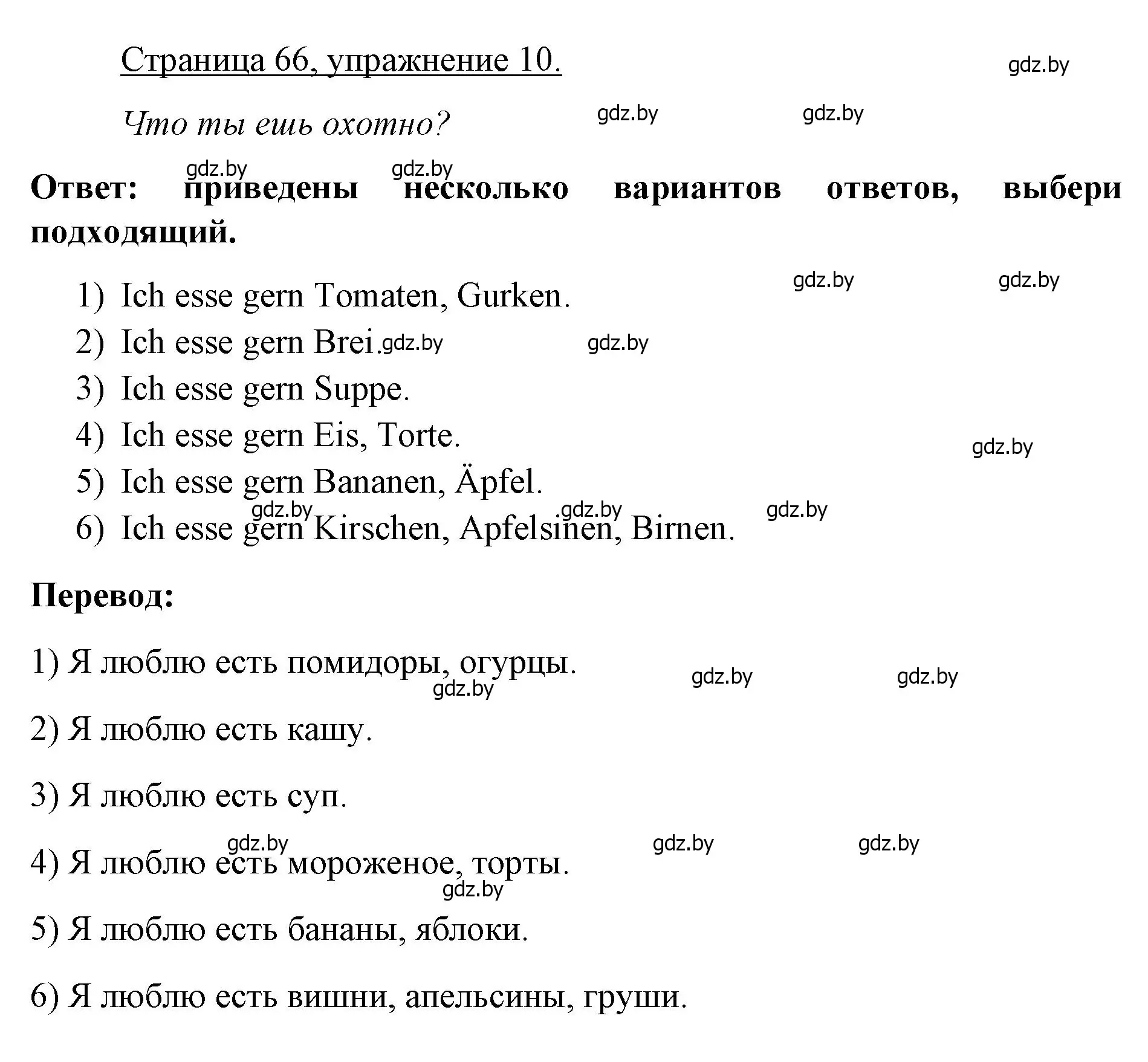 Решение номер 10 (страница 66) гдз по немецкому языку 3 класс Будько, Урбанович, рабочая тетрадь