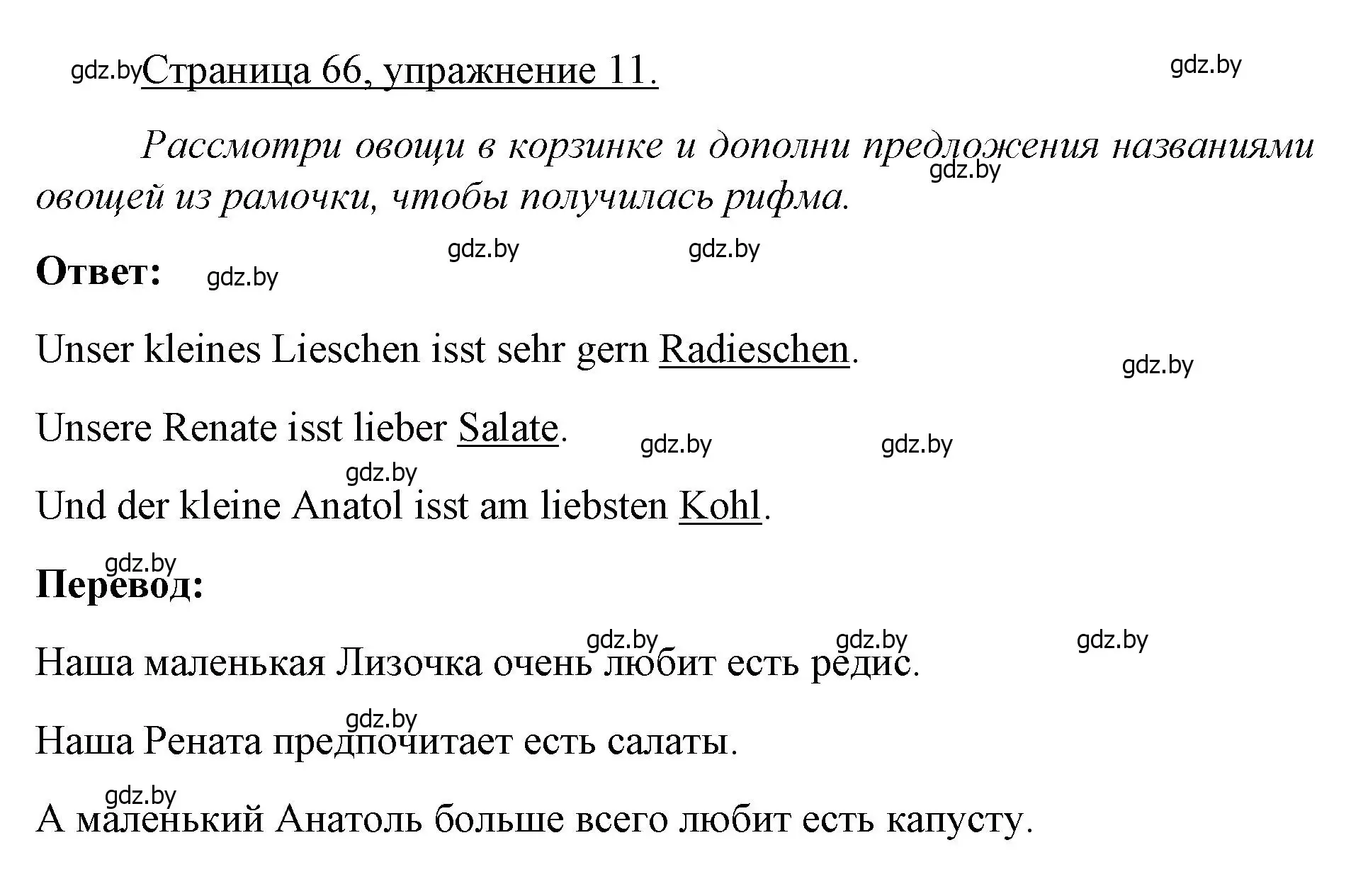 Решение номер 11 (страница 66) гдз по немецкому языку 3 класс Будько, Урбанович, рабочая тетрадь