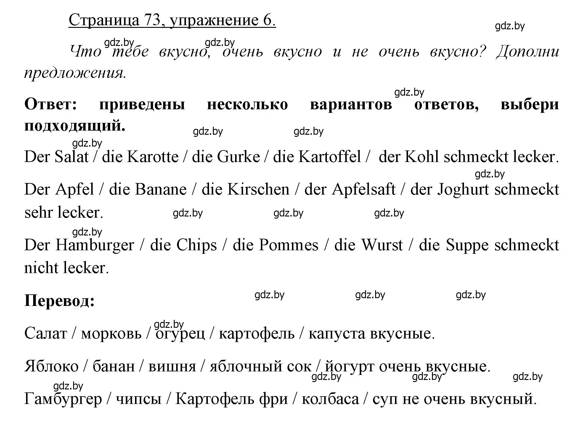 Решение номер 6 (страница 73) гдз по немецкому языку 3 класс Будько, Урбанович, рабочая тетрадь