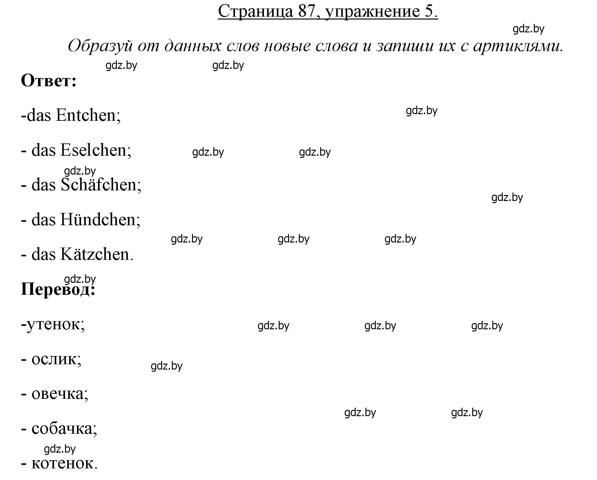 Решение номер 5 (страница 87) гдз по немецкому языку 3 класс Будько, Урбанович, рабочая тетрадь