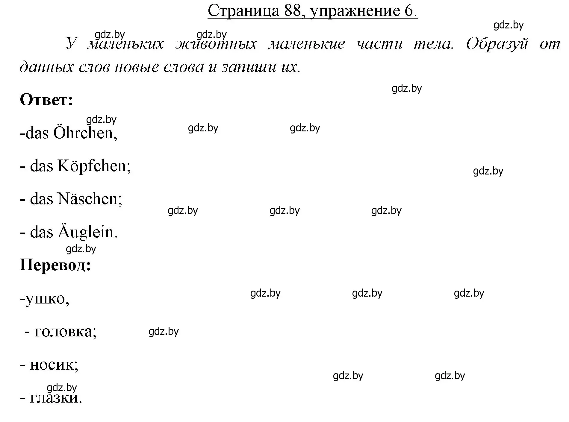 Решение номер 6 (страница 88) гдз по немецкому языку 3 класс Будько, Урбанович, рабочая тетрадь