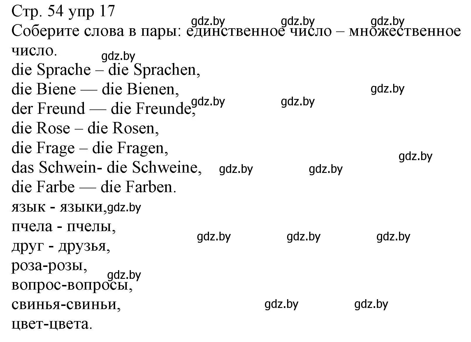 Решение номер 17 (страница 54) гдз по немецкому языку 3 класс Будько, Урбанович, учебник 1 часть