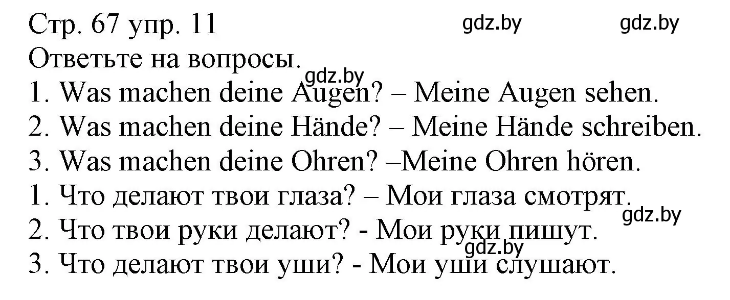 Решение номер 11 (страница 67) гдз по немецкому языку 3 класс Будько, Урбанович, учебник 1 часть