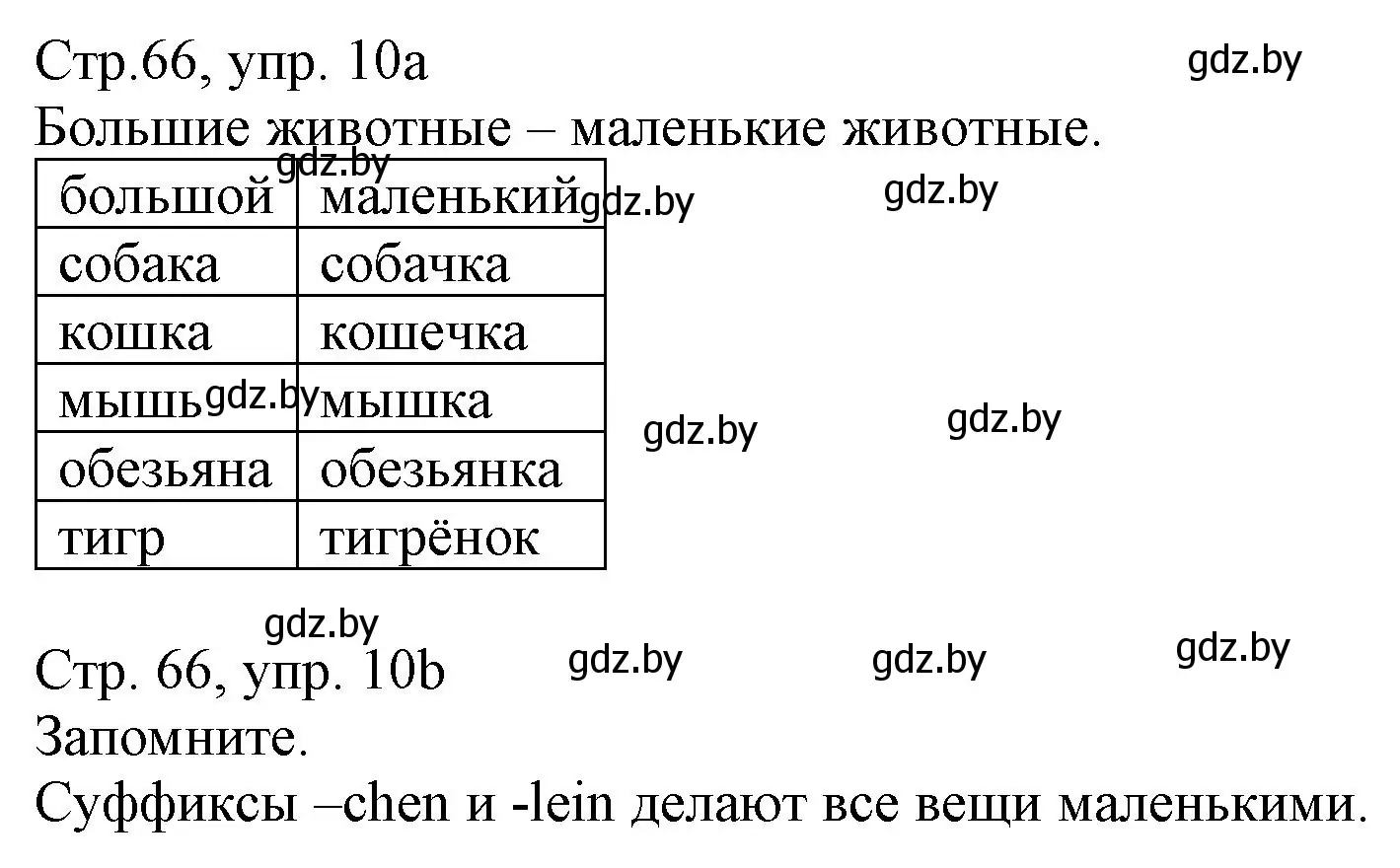 Решение номер 10 (страница 66) гдз по немецкому языку 3 класс Будько, Урбанович, учебник 2 часть