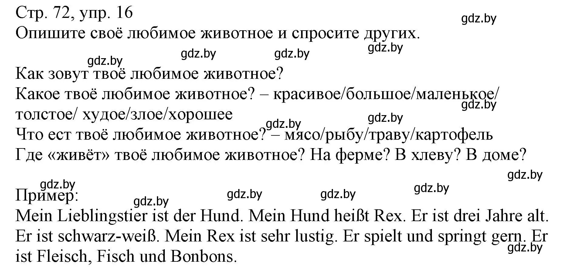 Решение номер 16 (страница 72) гдз по немецкому языку 3 класс Будько, Урбанович, учебник 2 часть