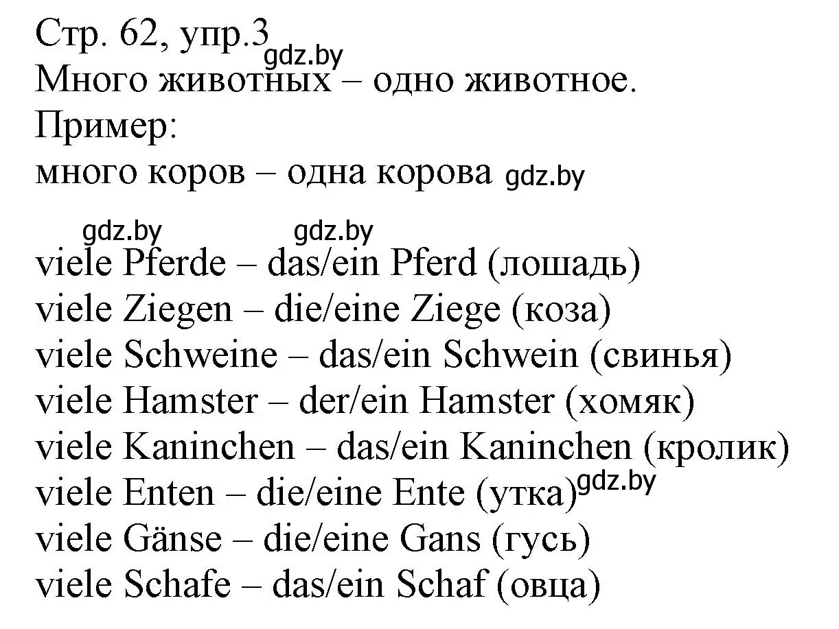 Решение номер 3 (страница 62) гдз по немецкому языку 3 класс Будько, Урбанович, учебник 2 часть