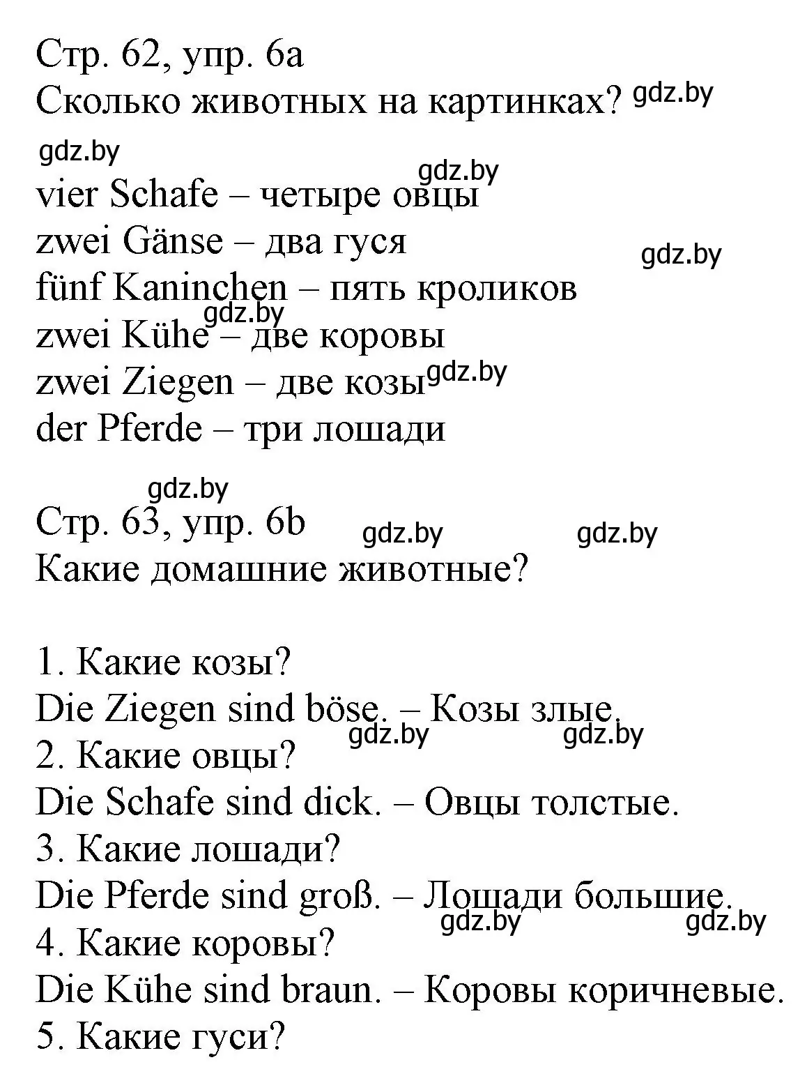 Решение номер 6 (страница 62) гдз по немецкому языку 3 класс Будько, Урбанович, учебник 2 часть