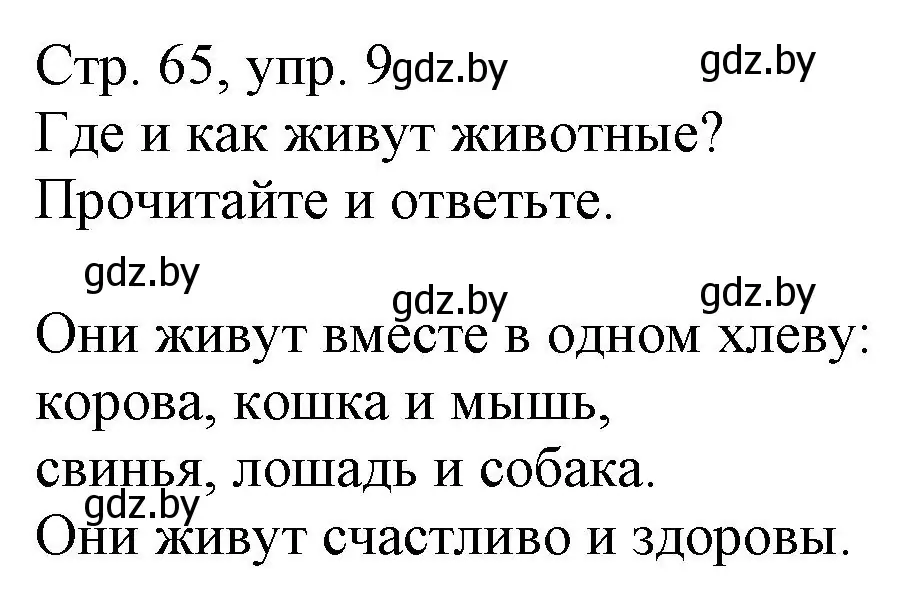 Решение номер 9 (страница 65) гдз по немецкому языку 3 класс Будько, Урбанович, учебник 2 часть