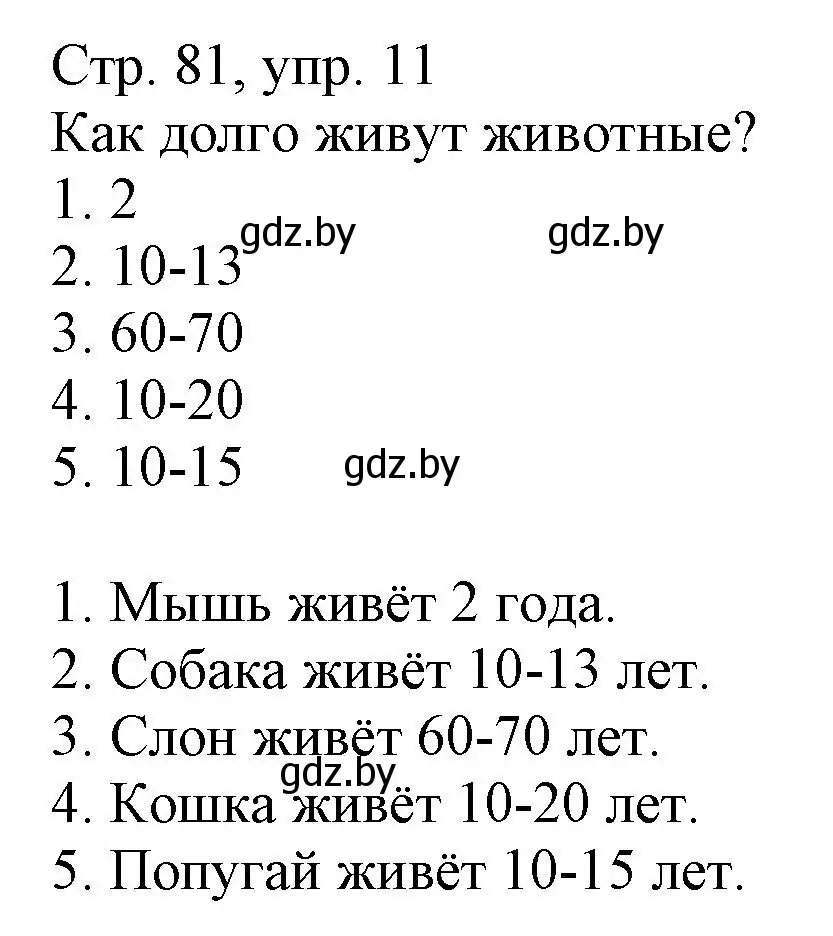 Решение номер 11 (страница 81) гдз по немецкому языку 3 класс Будько, Урбанович, учебник 2 часть