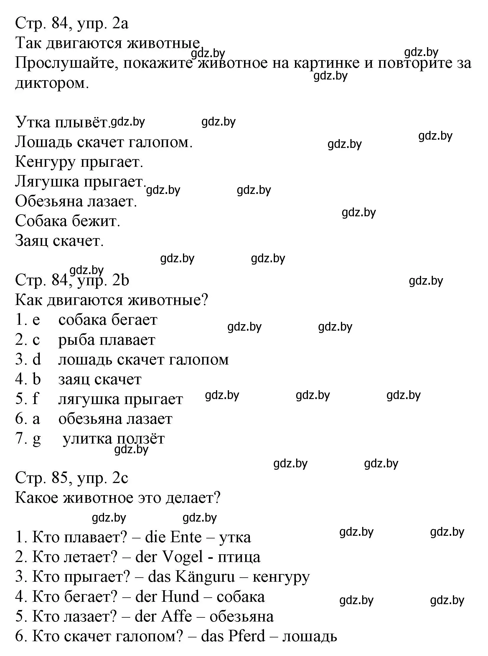 Решение номер 2 (страница 84) гдз по немецкому языку 3 класс Будько, Урбанович, учебник 2 часть