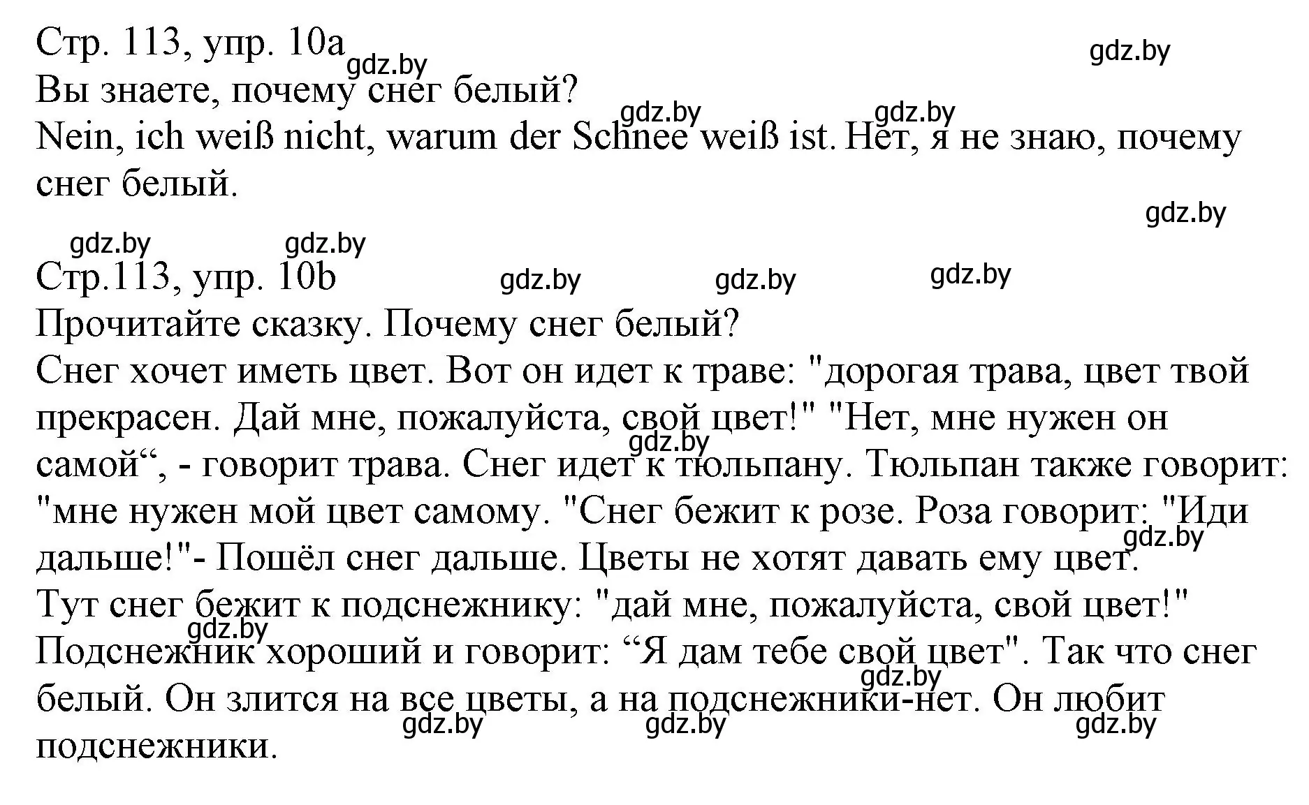 Решение номер 10 (страница 113) гдз по немецкому языку 3 класс Будько, Урбанович, учебник 2 часть