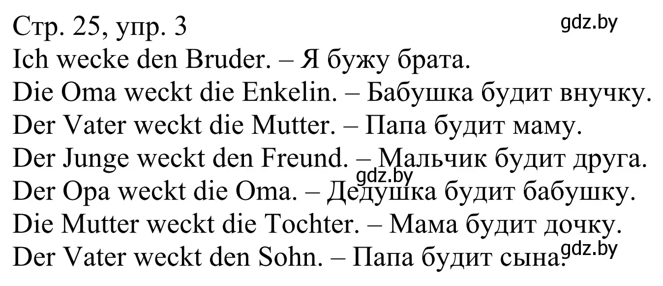 Решение номер 3 (страница 25) гдз по немецкому языку 4 класс Будько, Урбанович, рабочая тетрадь