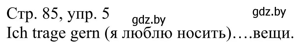 Решение номер 5 (страница 85) гдз по немецкому языку 4 класс Будько, Урбанович, рабочая тетрадь