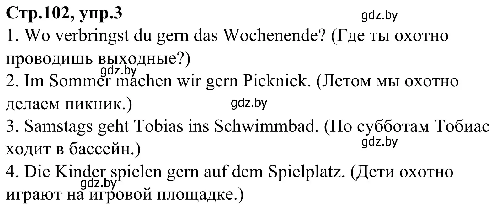 Решение номер 3 (страница 102) гдз по немецкому языку 4 класс Будько, Урбанович, рабочая тетрадь