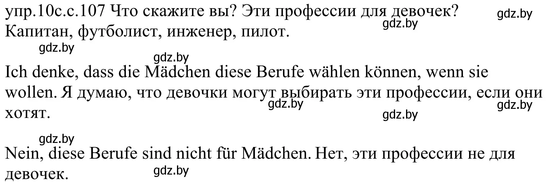 Решение номер 10c (страница 107) гдз по немецкому языку 4 класс Будько, Урбанович, учебник 1 часть