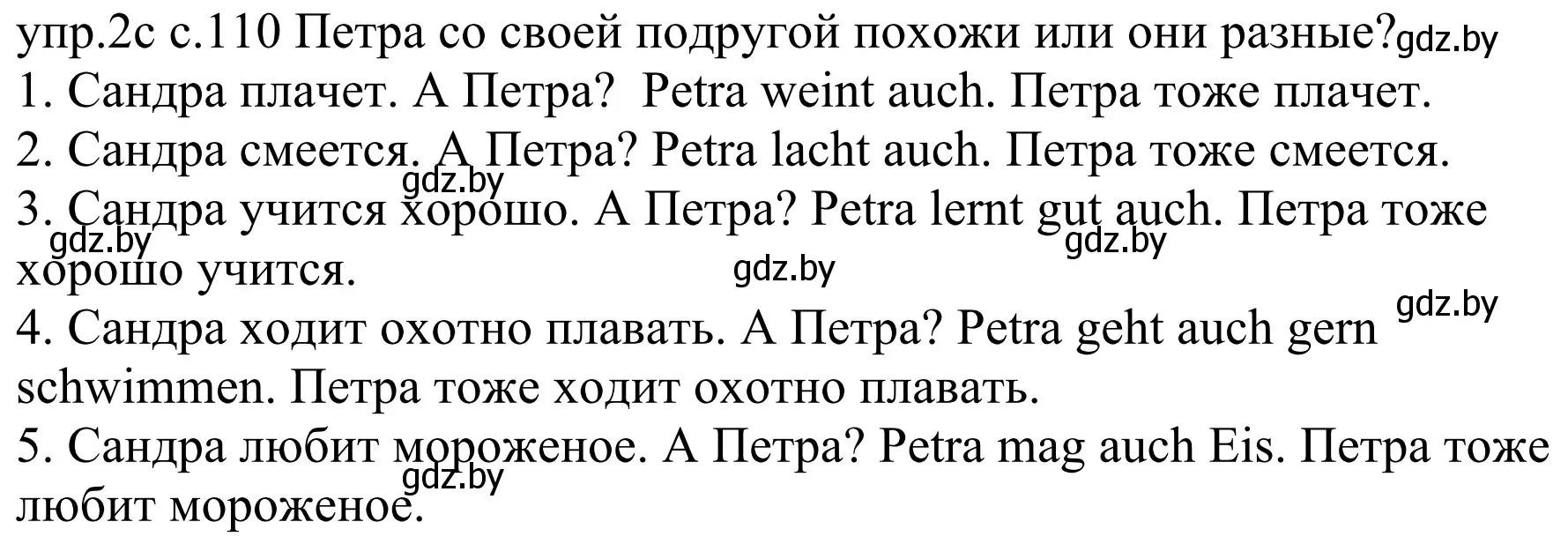 Решение номер 2c (страница 110) гдз по немецкому языку 4 класс Будько, Урбанович, учебник 1 часть