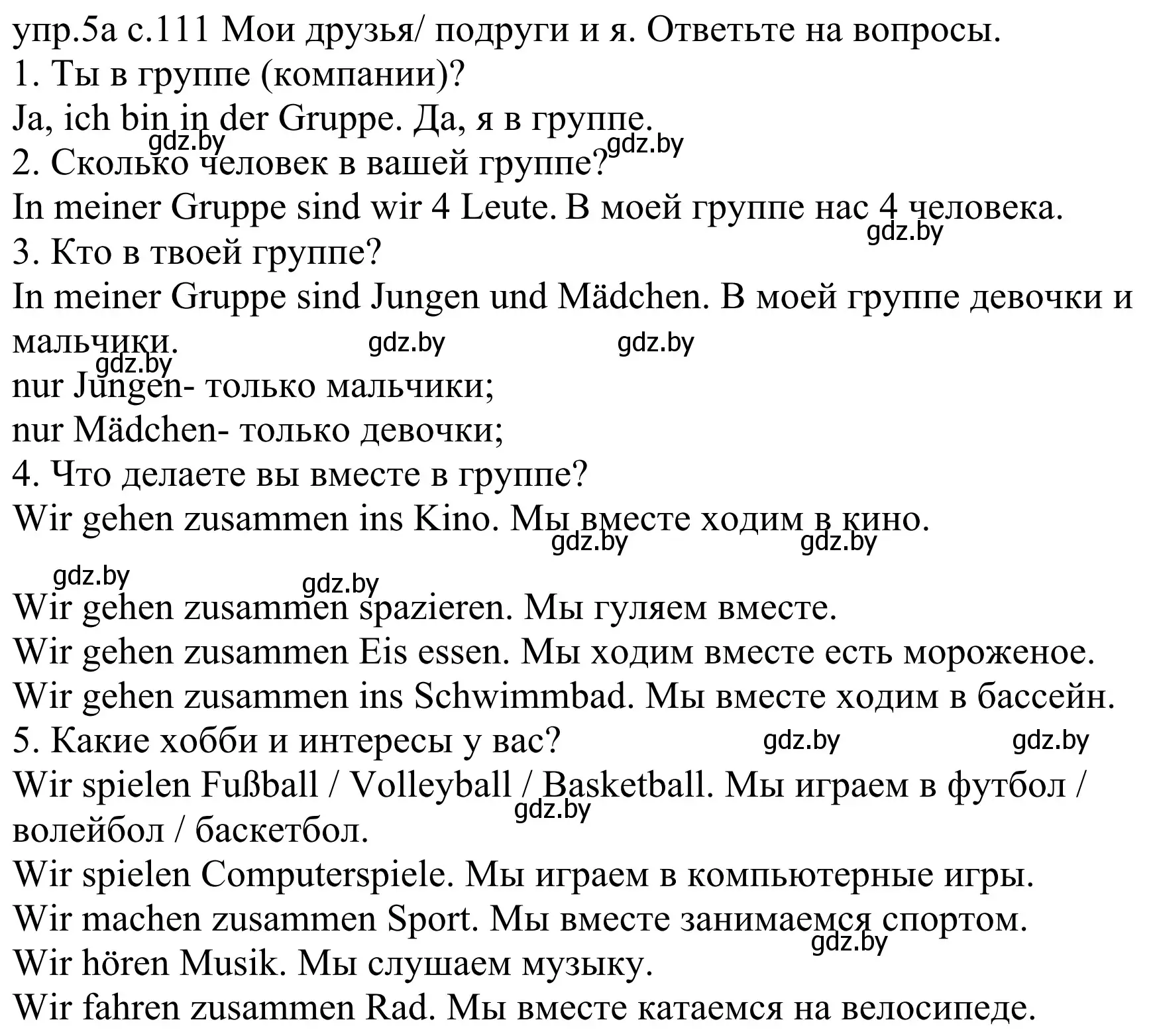 Решение номер 5 (страница 111) гдз по немецкому языку 4 класс Будько, Урбанович, учебник 1 часть