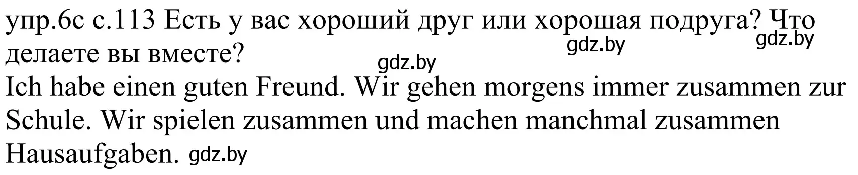 Решение номер 6c (страница 113) гдз по немецкому языку 4 класс Будько, Урбанович, учебник 1 часть