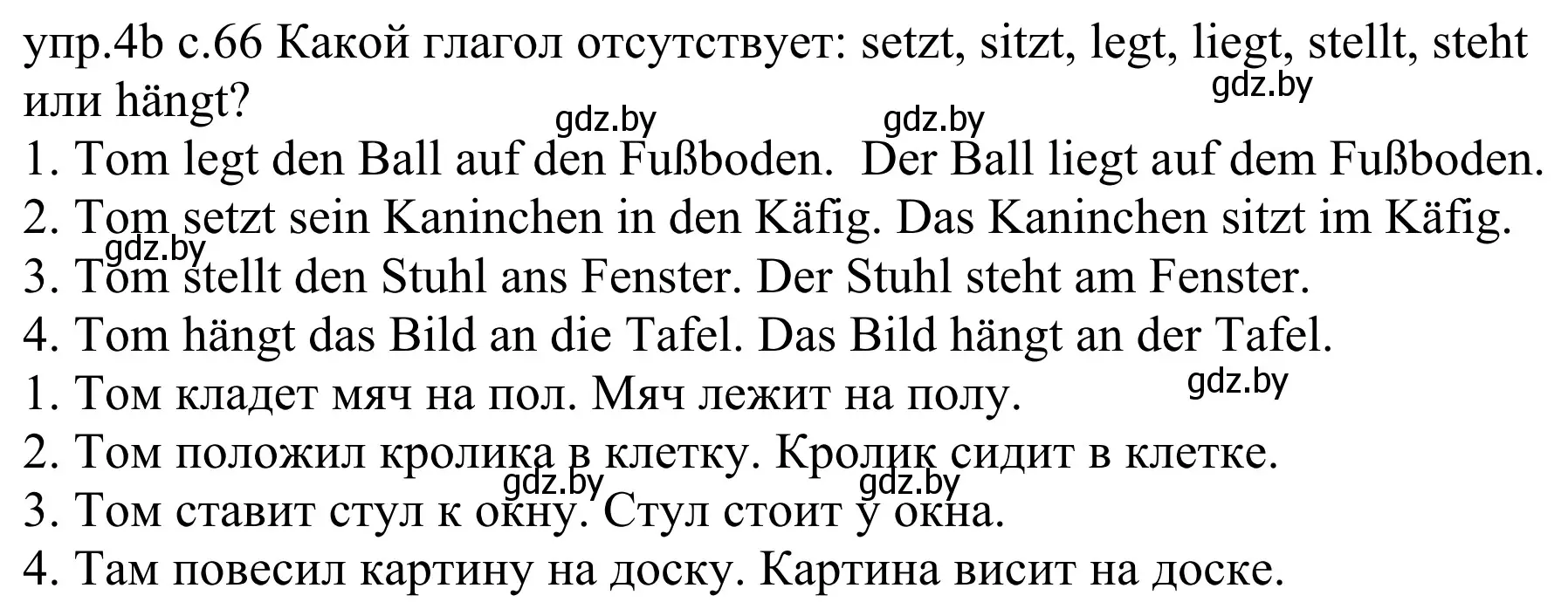 Решение номер 4b (страница 66) гдз по немецкому языку 4 класс Будько, Урбанович, учебник 2 часть