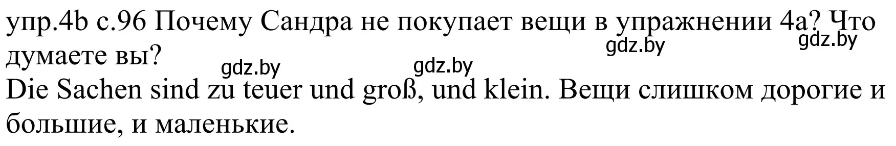 Решение номер 4b (страница 96) гдз по немецкому языку 4 класс Будько, Урбанович, учебник 2 часть