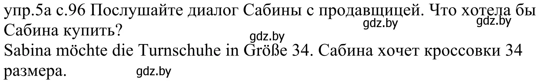 Решение номер 5a (страница 96) гдз по немецкому языку 4 класс Будько, Урбанович, учебник 2 часть