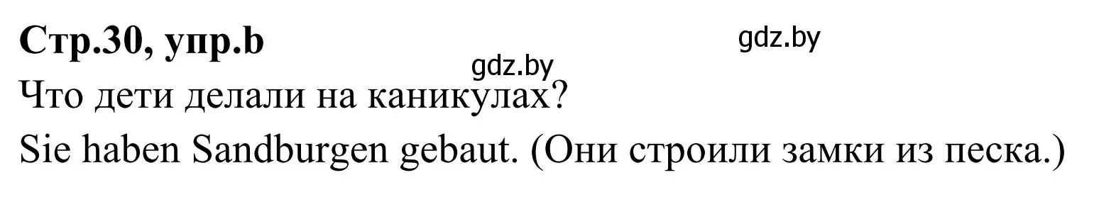 Решение номер 2b (страница 30) гдз по немецкому языку 5 класс Будько, Урбанович, учебник 1 часть