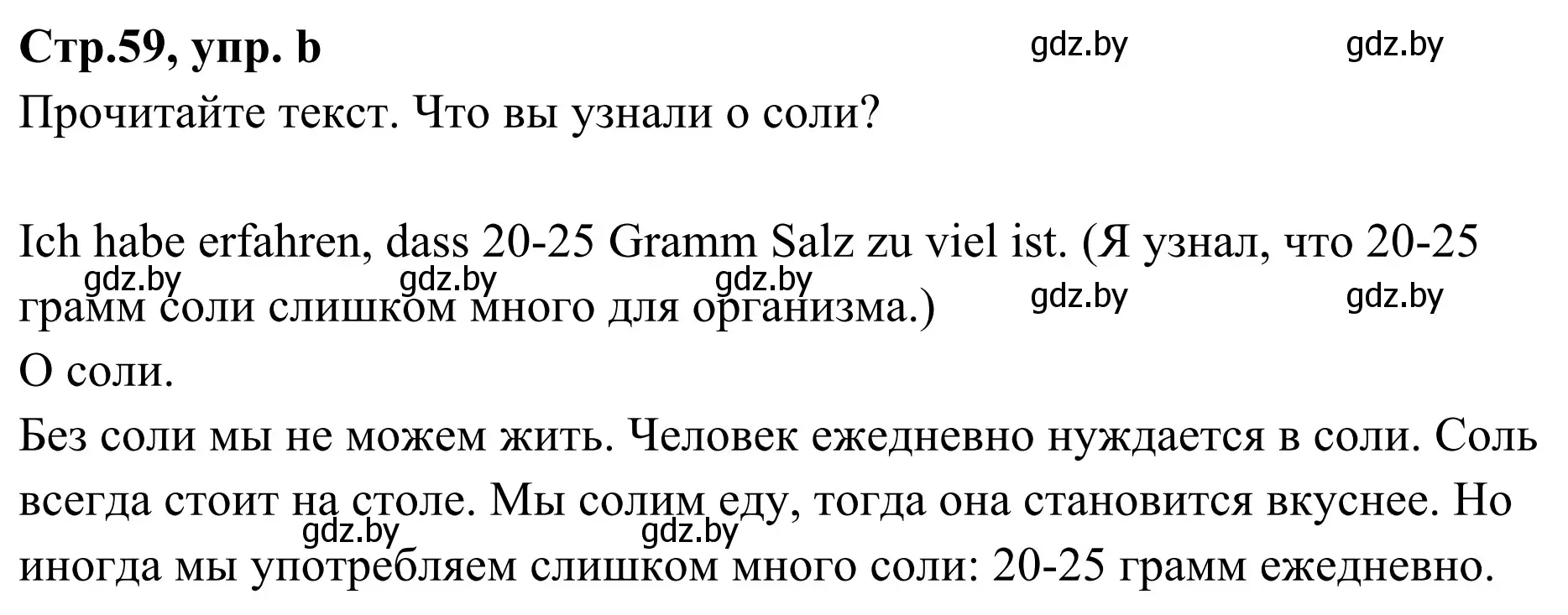 Решение номер 11b (страница 59) гдз по немецкому языку 5 класс Будько, Урбанович, учебник 1 часть