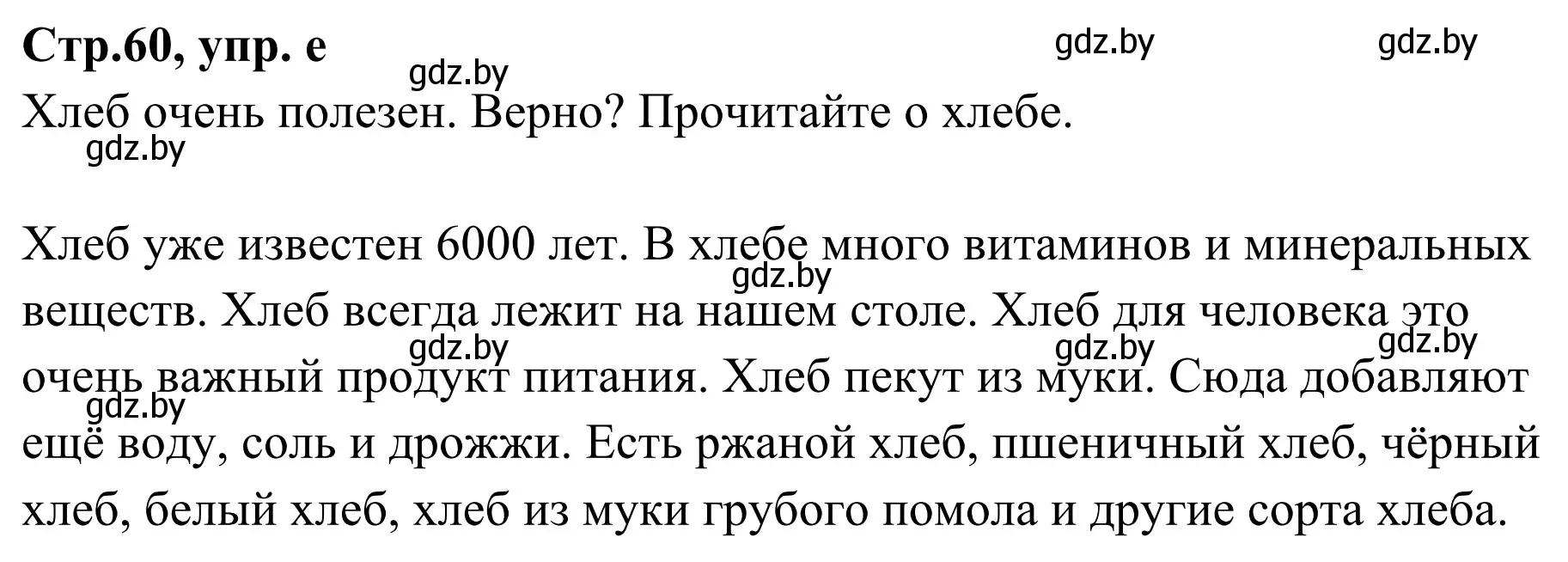 Решение номер 11e (страница 60) гдз по немецкому языку 5 класс Будько, Урбанович, учебник 1 часть