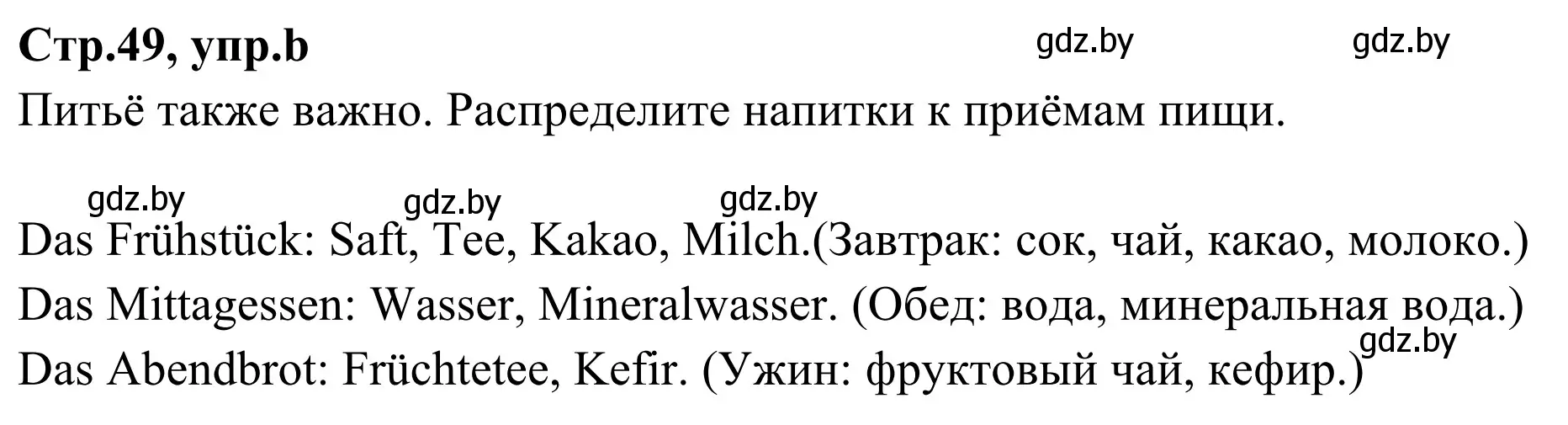 Решение номер 2b (страница 49) гдз по немецкому языку 5 класс Будько, Урбанович, учебник 1 часть