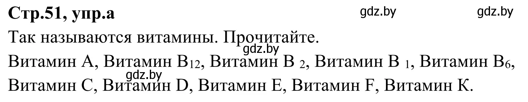 Решение номер 3a (страница 51) гдз по немецкому языку 5 класс Будько, Урбанович, учебник 1 часть