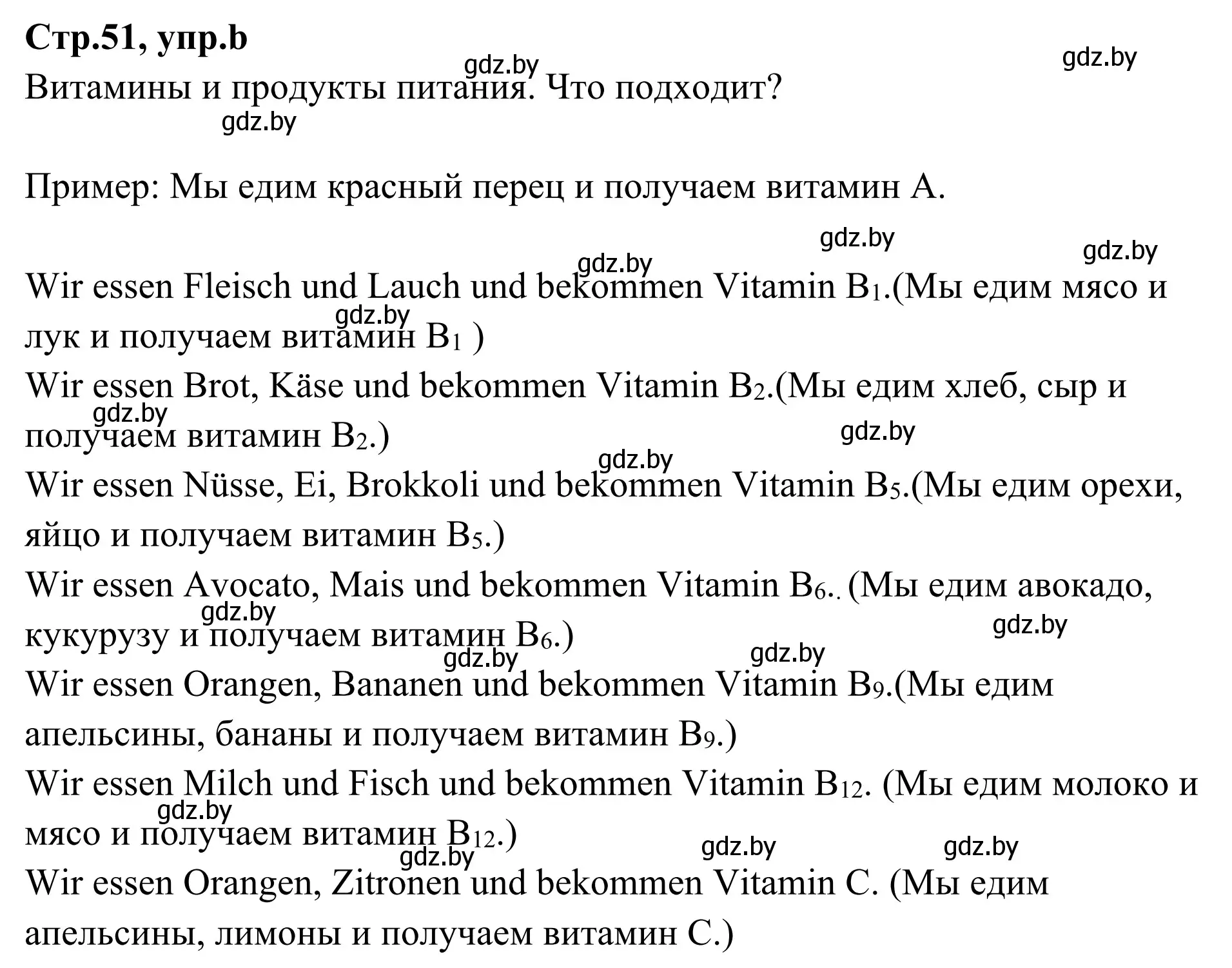 Решение номер 3b (страница 51) гдз по немецкому языку 5 класс Будько, Урбанович, учебник 1 часть