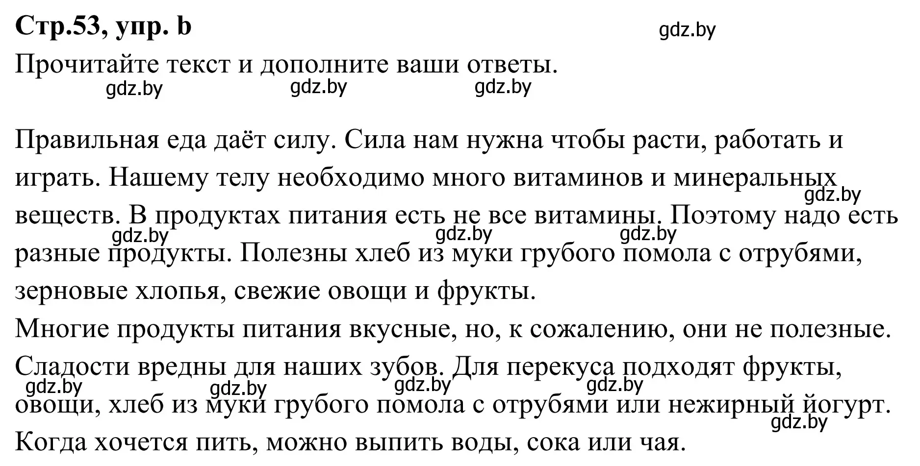 Решение номер 5b (страница 53) гдз по немецкому языку 5 класс Будько, Урбанович, учебник 1 часть