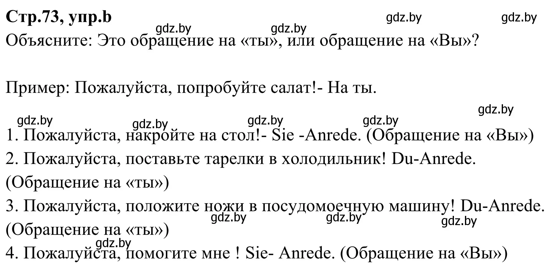 Решение номер 9b (страница 73) гдз по немецкому языку 5 класс Будько, Урбанович, учебник 1 часть