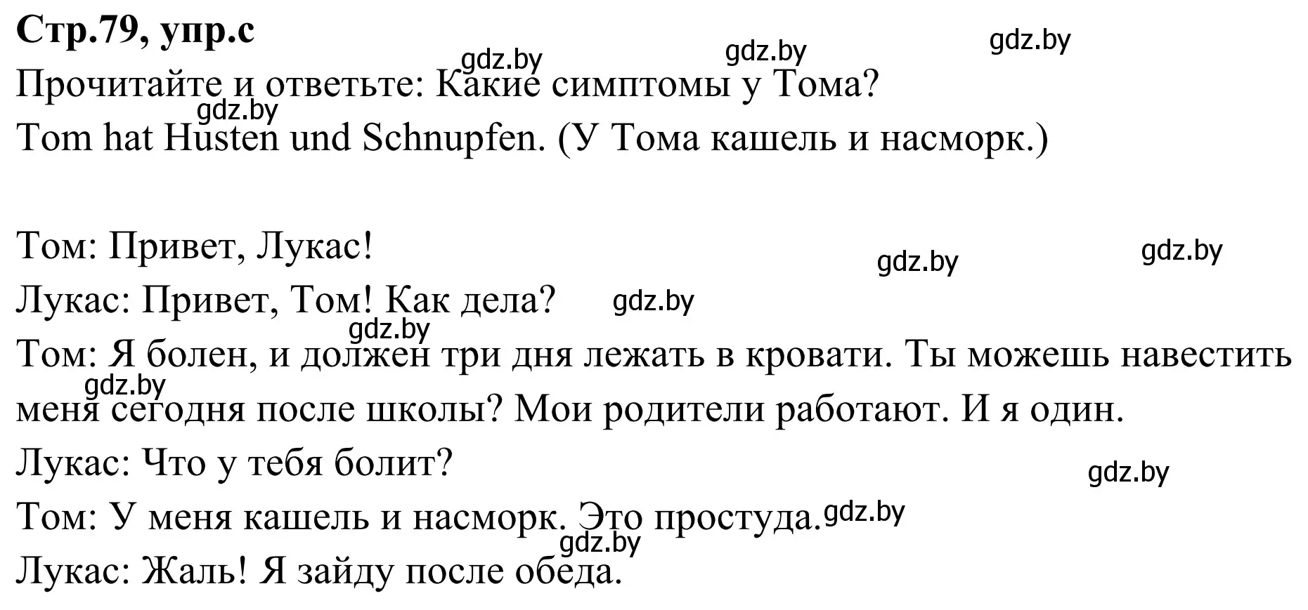 Решение номер 3c (страница 79) гдз по немецкому языку 5 класс Будько, Урбанович, учебник 1 часть